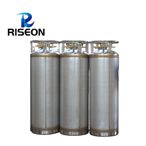 Dpl450-195-2.88 450mm 195L 155kg Heavy-Duty Dewar Cylinder